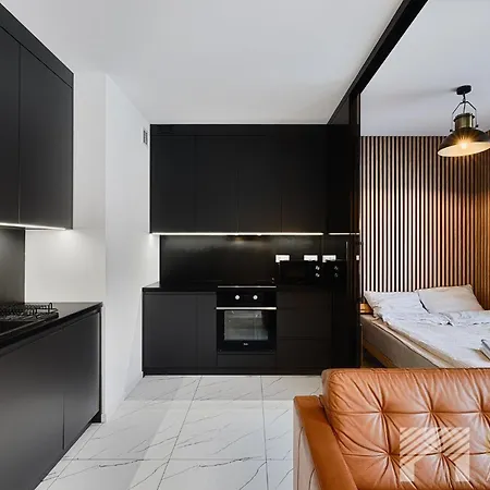 Fuzja Industrial Loft By Lookap Lejlighed